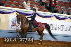 19YN_27784 thumbnail