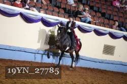 19YN_27785 thumbnail