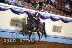 19YN_27786 thumbnail