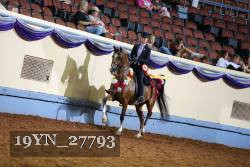 19YN_27793 thumbnail