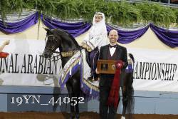 19YN_44052 thumbnail