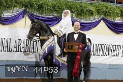 19YN_44053 thumbnail