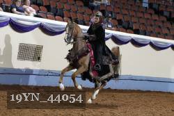 19YN_44054 thumbnail