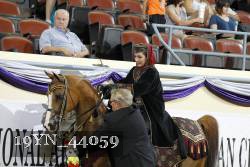 19YN_44059 thumbnail
