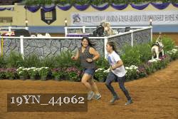 19YN_44062 thumbnail