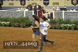 19YN_44063 thumbnail
