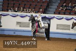 19YN_44072 thumbnail