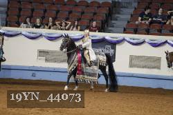 19YN_44073 thumbnail
