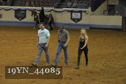 19YN_44085 thumbnail