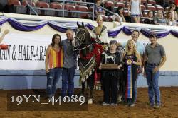 19YN_44089 thumbnail