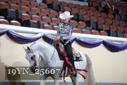 19YN_25607 thumbnail
