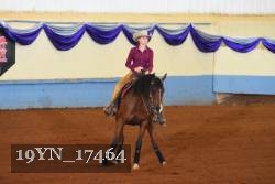19YN_17464 thumbnail