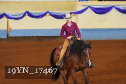 19YN_17467 thumbnail