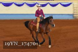 19YN_17470 thumbnail