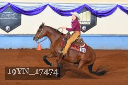 19YN_17474 thumbnail
