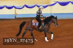 19YN_17475 thumbnail