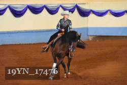 19YN_17476 thumbnail