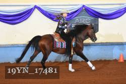 19YN_17481 thumbnail