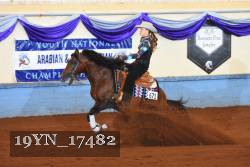 19YN_17482 thumbnail