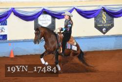 19YN_17484 thumbnail