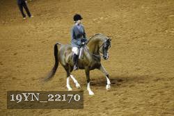 19YN_22170 thumbnail