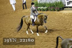 19YN_22180 thumbnail