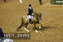 19YN_22183 thumbnail