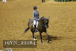 19YN_22184 thumbnail