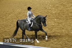 19YN_22185 thumbnail