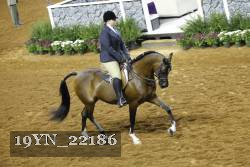 19YN_22186 thumbnail