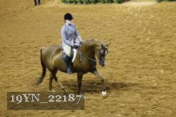 19YN_22187 thumbnail