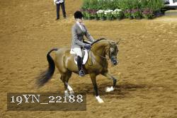 19YN_22188 thumbnail