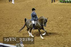 19YN_22189 thumbnail