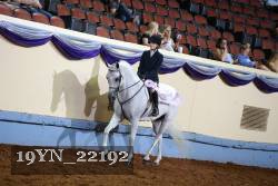 19YN_22192 thumbnail