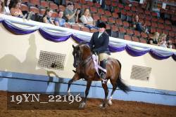 19YN_22196 thumbnail