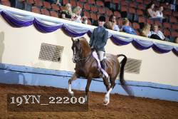 19YN_22200 thumbnail