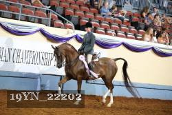 19YN_22202 thumbnail