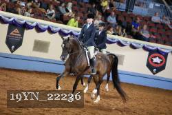 19YN_22236 thumbnail