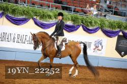 19YN_22252 thumbnail