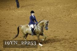 19YN_22253 thumbnail