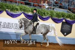 19YN_22254 thumbnail