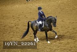 19YN_22261 thumbnail