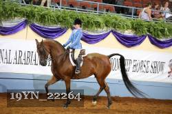 19YN_22264 thumbnail