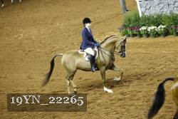 19YN_22265 thumbnail