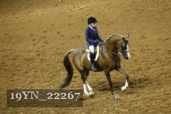 19YN_22267 thumbnail