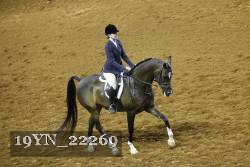 19YN_22269 thumbnail
