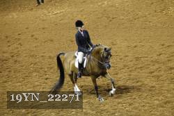 19YN_22271 thumbnail