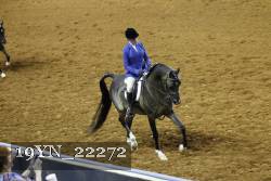 19YN_22272 thumbnail