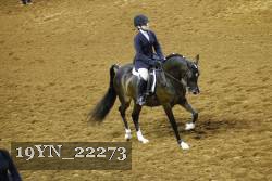 19YN_22273 thumbnail