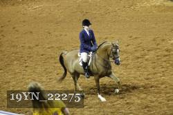 19YN_22275 thumbnail